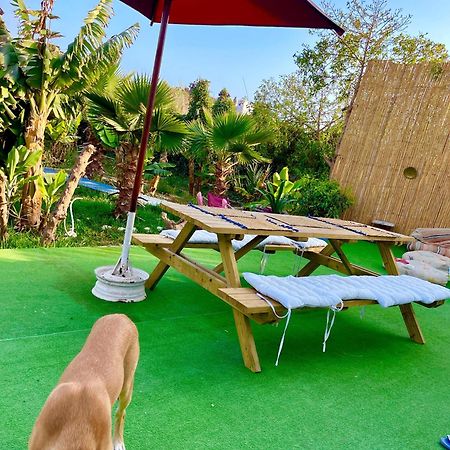 Surf & Salsa Ocean House Bed & Breakfast Tamraght ภายนอก รูปภาพ