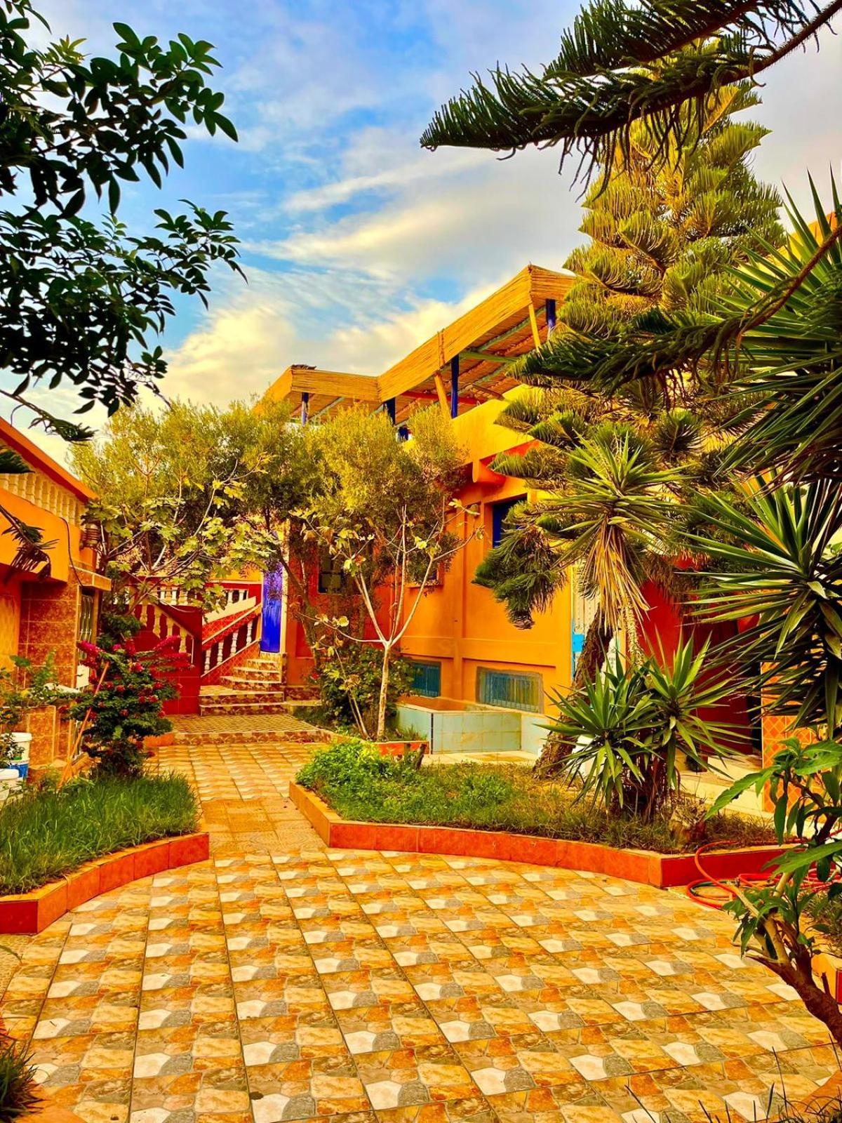 Surf & Salsa Ocean House Bed & Breakfast Tamraght ภายนอก รูปภาพ