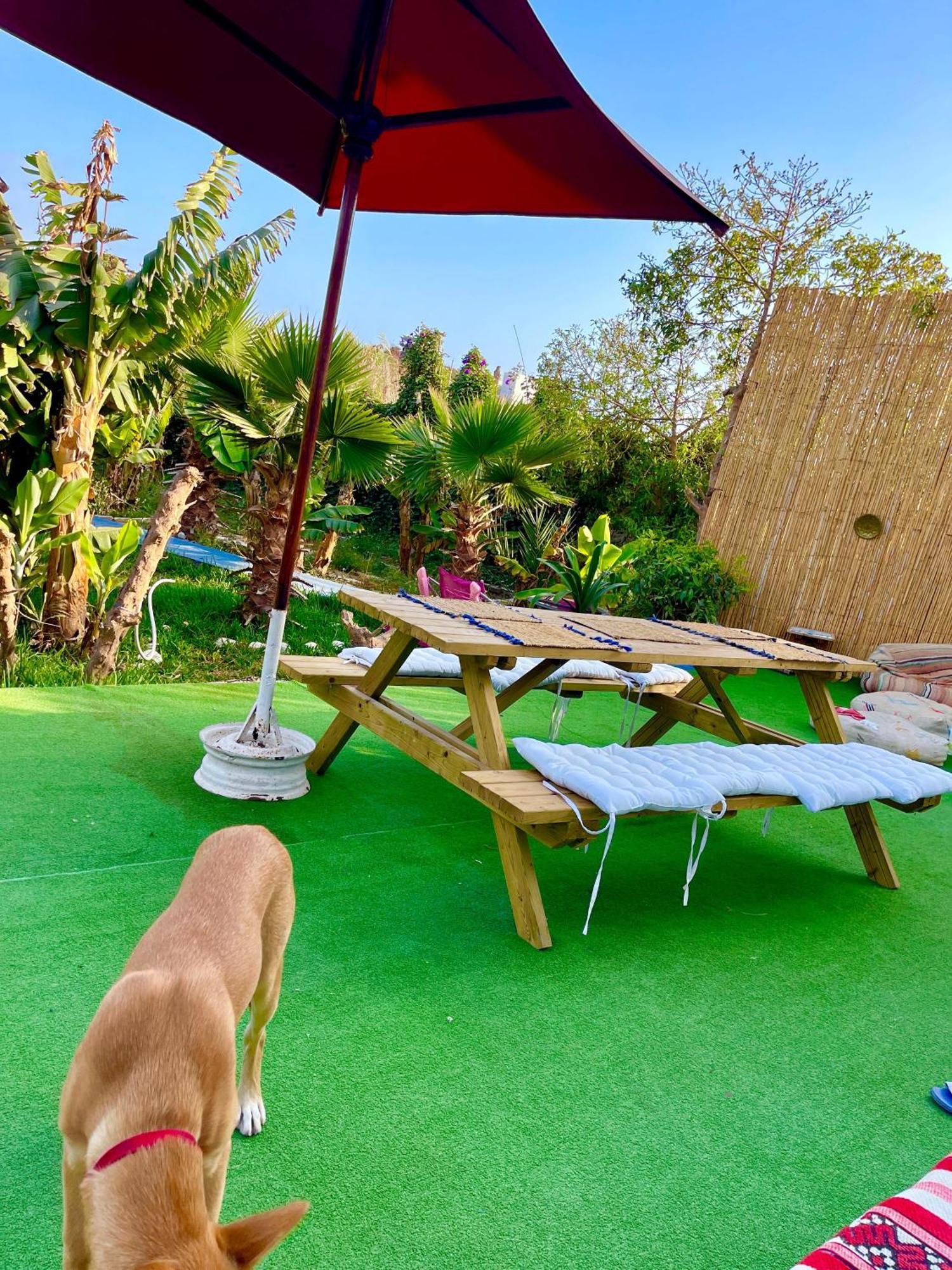 Surf & Salsa Ocean House Bed & Breakfast Tamraght ภายนอก รูปภาพ